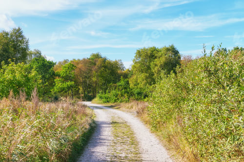 Preview: Denmark nature, countryside and environment