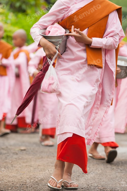 Preview: Young novice monks on their daily walk