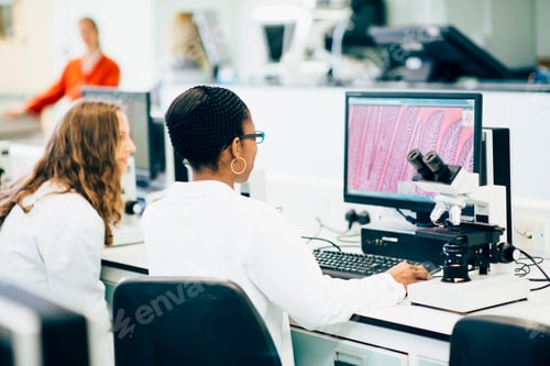 Preview: Scientists analyzing data at a laboratory workstation.