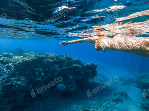 Preview: Woman snorkeling underwater above coral reef