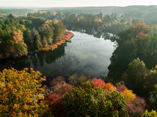 Preview: Forest and river at sunrise in autumn.