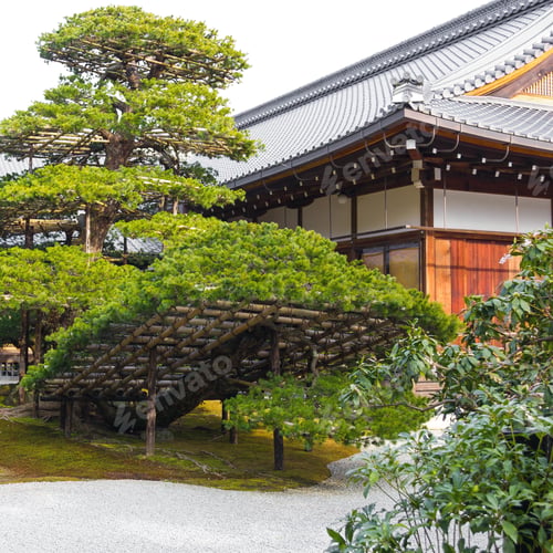 Preview: Traditional landscaped japanese garden detail in Japan