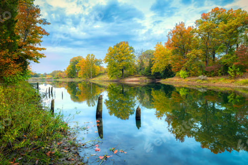 Preview: Trees reflecting in a lake in the autumn morning.