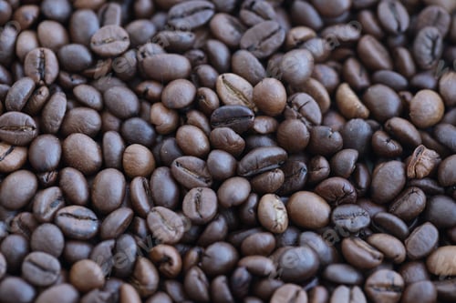 Preview: Roasted coffee beans background in warm dark scene
