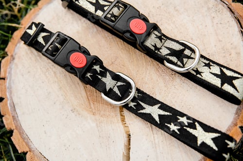 Preview: Stylish, bright and comfortable collar from pet shop for obedient dog, cat or other pets and domesti