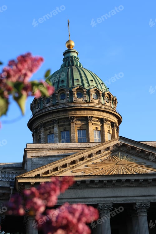 Preview: tourism, city attractions on a trip around the city in the spring. bushes of blooming lilac