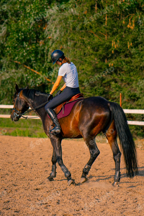Preview: A horsewoman dressed in a helmet rides her beautiful black horse in a horse riding arena