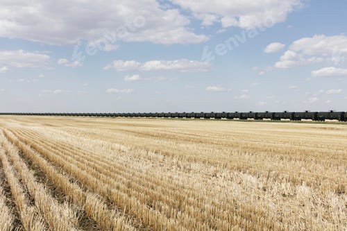 Preview: Oil train cars and fallow farmland, near Swift Current, Saskatchewan, Canada.