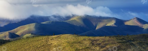 Preview: Tundra in Canada