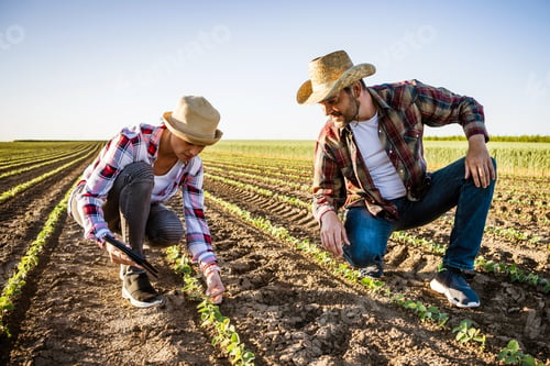 Preview: Agriculture