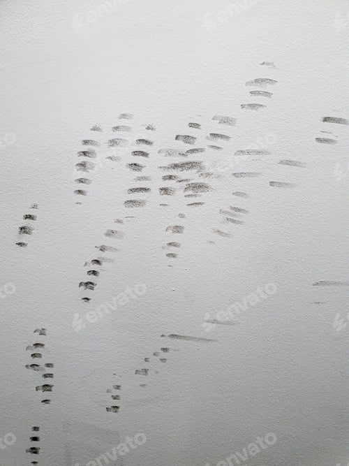 Preview: Vertical shot of white drywall with marks from bike tires