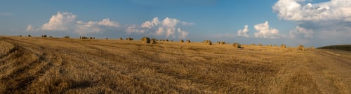 Preview: panorama of a field after harvest, stubble and straw bales in the distance