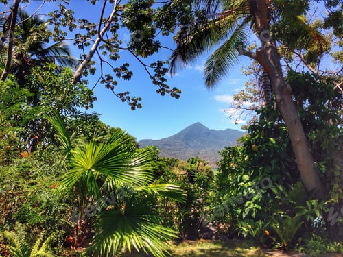 Preview: Nicaragua island vibes.