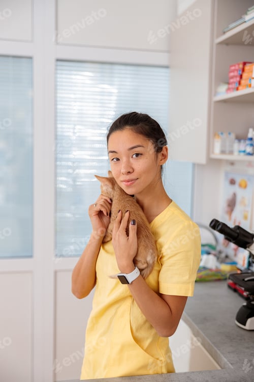 Preview: Woman veterinarian holding kitten in modern clinic