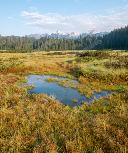 Preview: Serene Landscape with Grassy Field and Distant Mountains