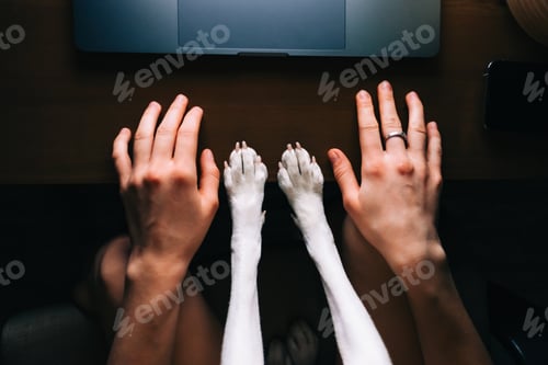 Preview: Woman sitting in front laptop with her dog, and puts hands and paws together on a table, friendship