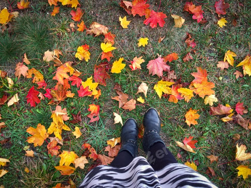 Preview: Looking down at woman wearing black boots and dress standing on a ground covered in colorful autumn