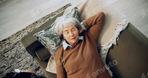Preview: Above, sleeping and tired with old woman on sofa with dog for break, dreaming and relax. Fatigue, w