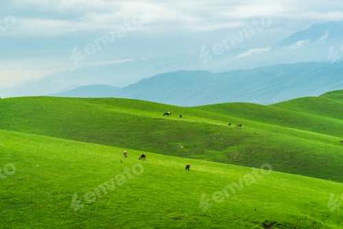 Preview: Nalati Grassland beautiful natural valley scenery in Xinjiang, China
