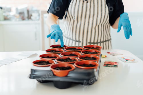 Preview: No Face woman planting seeds in pots at home kitchen. Sowing seeds. Urban farming lifestyle