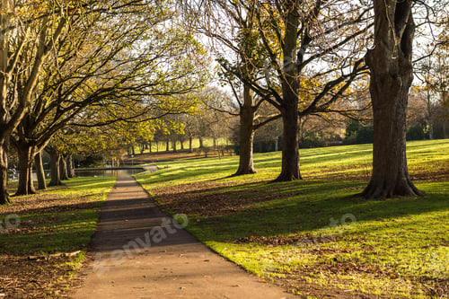 Preview: Park land in and around Northamptonshire, England