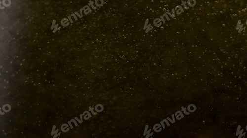 Preview: Closeup sparkling wine bubbles rising on black background. Glass with champagne.