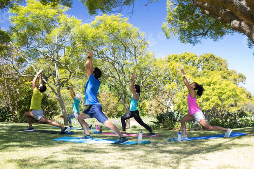 Preview: Group of people performing stretching exercise in the park