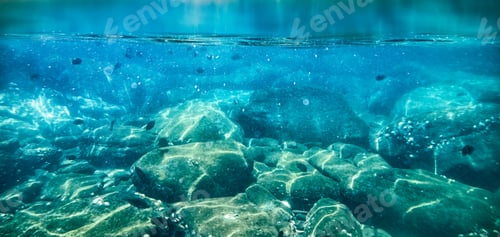 Preview: School of fish swimming on coral reef in tropical sea