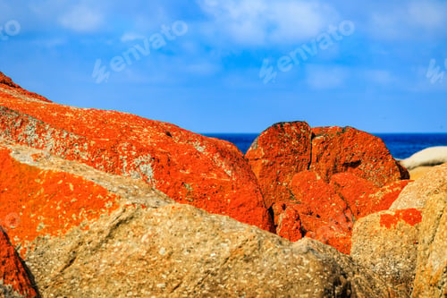Preview: an image of a very bright orange stone by the water