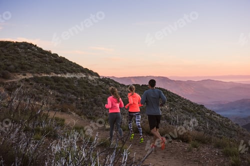 Preview: Rear view of three adult trail running friends on Pacific Crest Trail, Pine Valley, California, USA