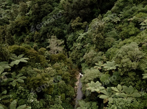 Preview: kaiate falls in the middle of the forest