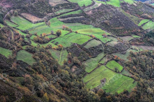 Preview: Pasture Fields alternate with Wild Vegetation