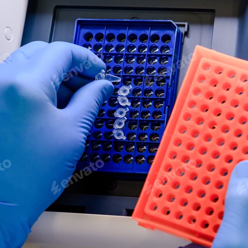 Preview: A laboratory worker arranging pipette tips in a blue container for a coronavirus testing