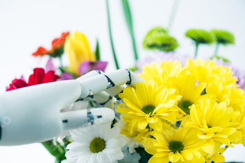 Preview: close-up view of hand of robot and beautiful flowers on white