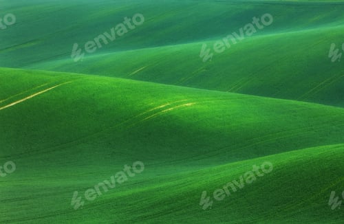 Preview: Minimalistic landscape with green fields, rolling hills at sunri