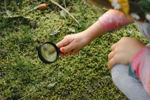 Preview: Exploring nature with magnifying glass