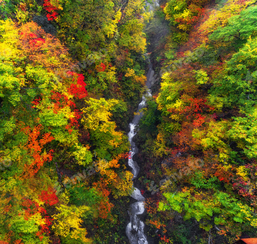 Preview: Landscape scene of top view from Amazing Naruko Gorge in multicolor Autumn season