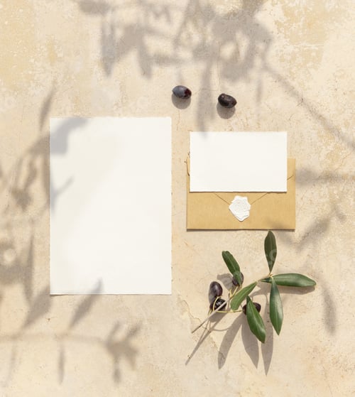 Preview: Blank cards on concrete table with olive tree branches and hard shadows, wedding mockup