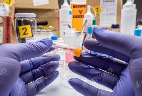 Preview: Specialized criminalistic police performs hematological analysis