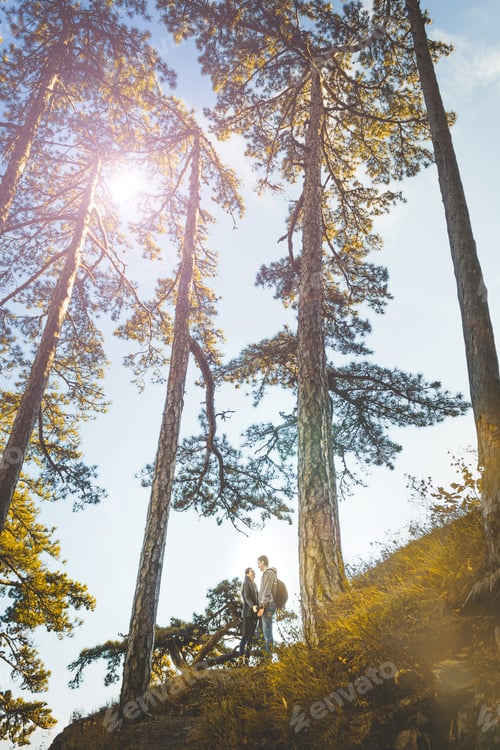 Preview: Romantic couple in sunset forest