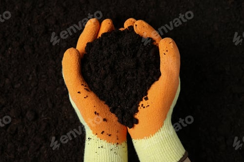 Preview: Hands in gloves hold soil on soil background