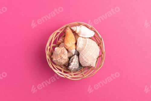Preview: Top view of wicker basket with seashells on bright pink background.