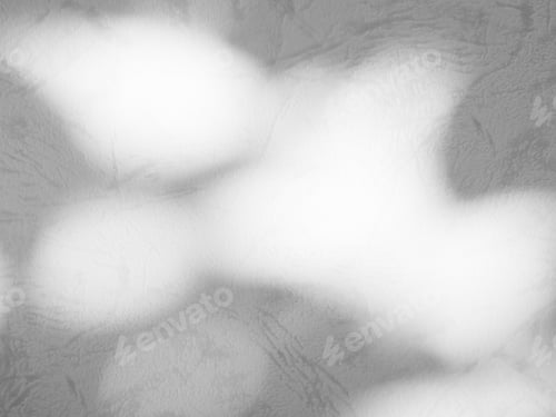 Preview: Shadow Spring on Wall Background,Abstract Overlay Shady Soft Exterior Leaves Tree