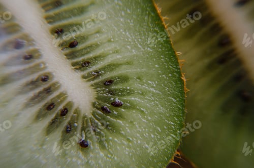 Preview: close up on kiwi seeds