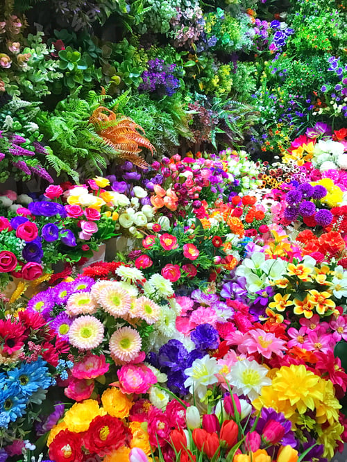 Preview: Colourful flowers