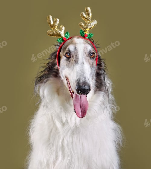 Preview: New year and Christmas concept with вog