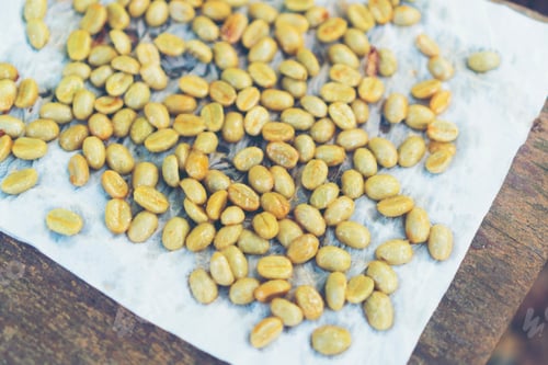 Preview: Red cherry coffee beans drying in the sun
