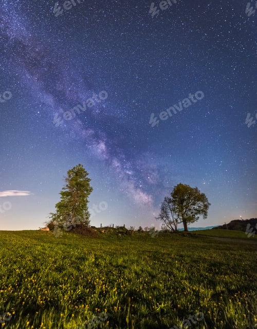 Preview: Milky Way and trees