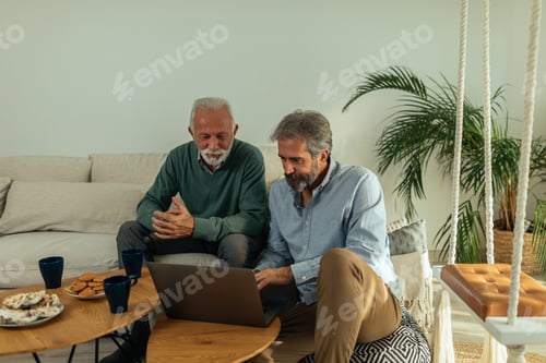 Preview: Two Men Relaxing Indoors Using Laptop