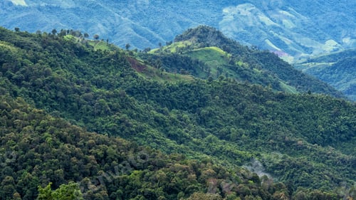 Preview: Beautiful mountain and agriculture field landscape